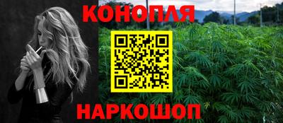 сатива Краснознаменск