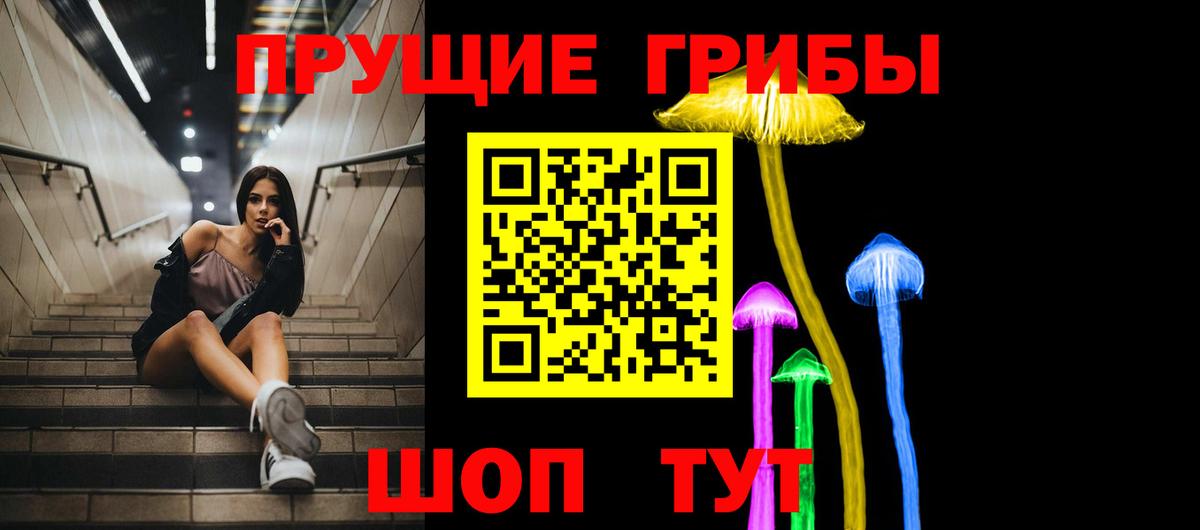 Галлюциногенные грибы Cubensis Котельники